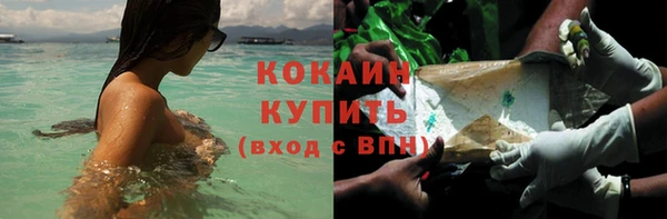 кокс Щигры