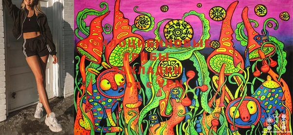 крисы Кинешма