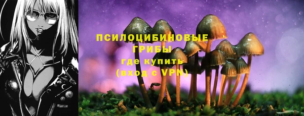 крисы Кинешма