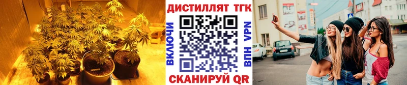 Дистиллят ТГК вейп Химки