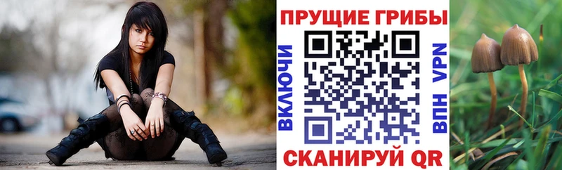 Псилоцибиновые грибы прущие грибы  магазин продажи   Химки 
