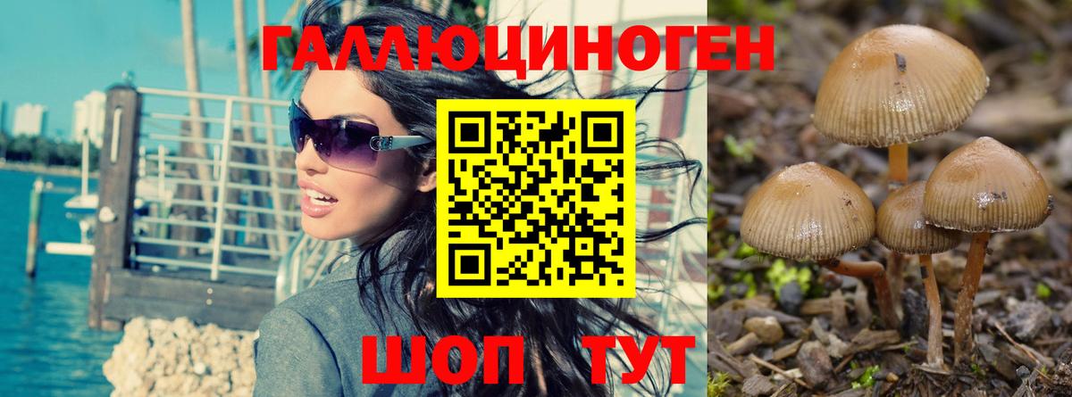 Галлюциногенные грибы ЛСД Химки