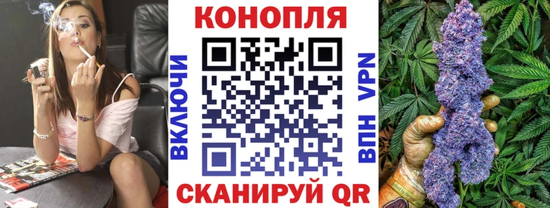 shop какой сайт  Химки  МАРИХУАНА SATIVA & INDICA 